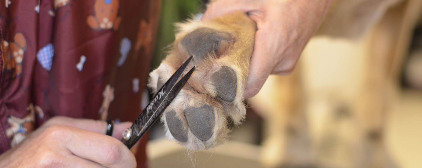Tidying up furry feet